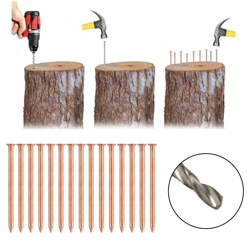 Gardening Tools Target - Pregos de cobre sólido de 2