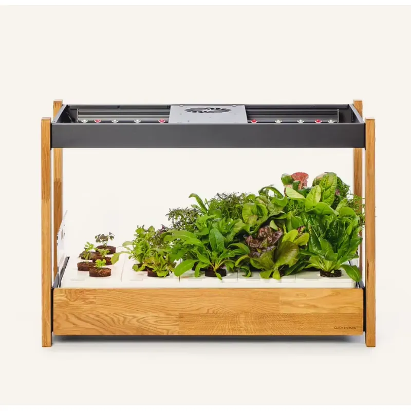Gardening Tools Kit For Sale - Oferta Imperdível: Kit de Vegetais Heirloom