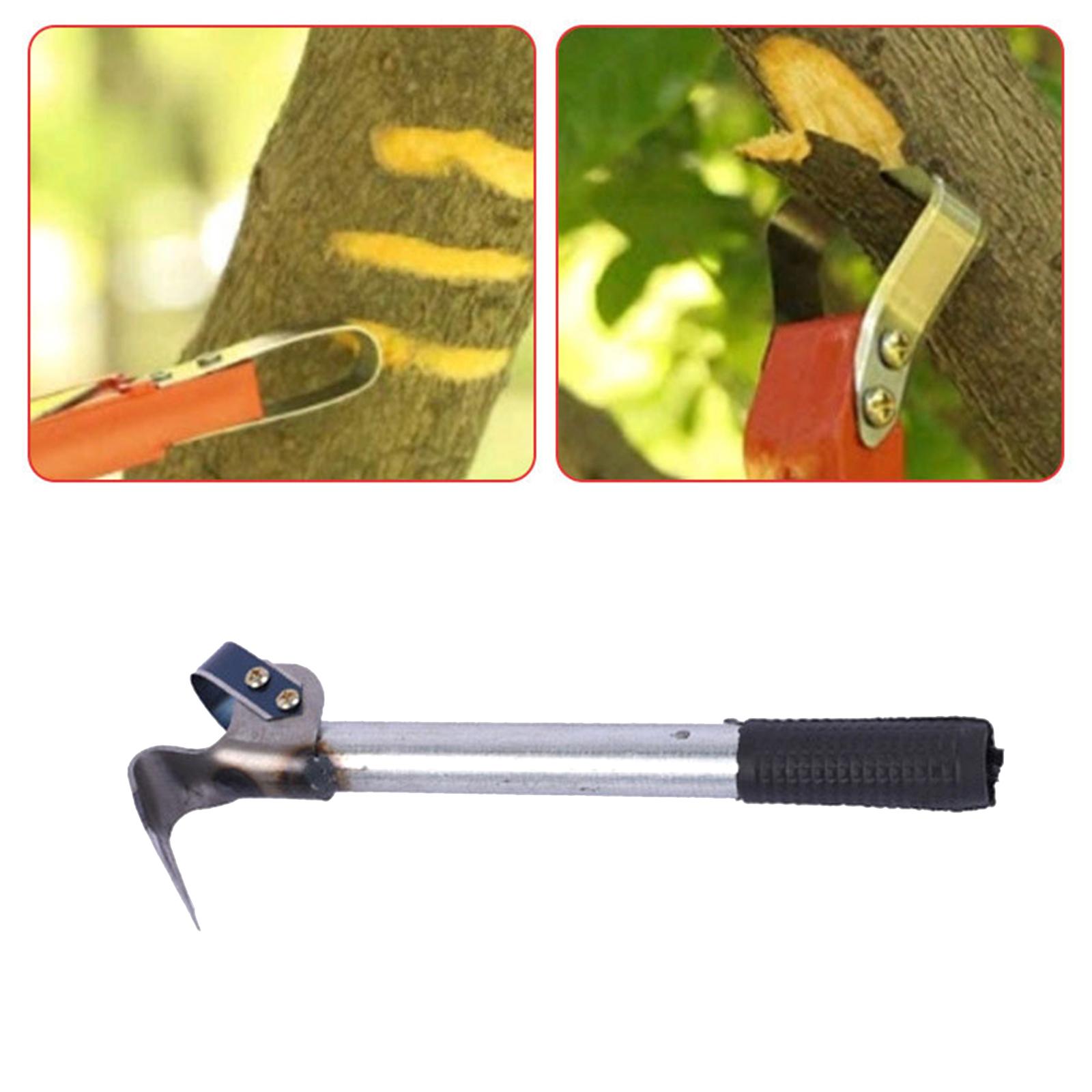 Ferramenta Compacta para Remoç - Gardening Tools Drawing avaliação e preço
