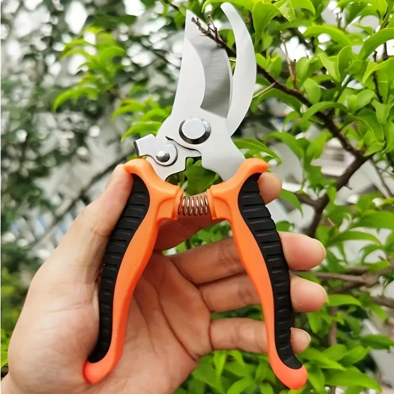 Tesouras de jardinagem profiss - Gardening Tools On Sale avaliação e preço