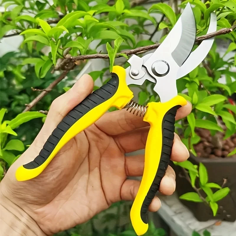 Tesouras de jardinagem profiss - Gardening Tools On Sale avaliação e preço