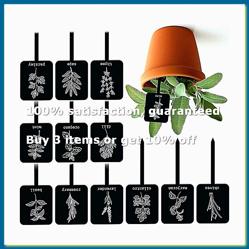 24 Etiquetas de Acrílico para  - Gardening Tools With Names avaliação e preço
