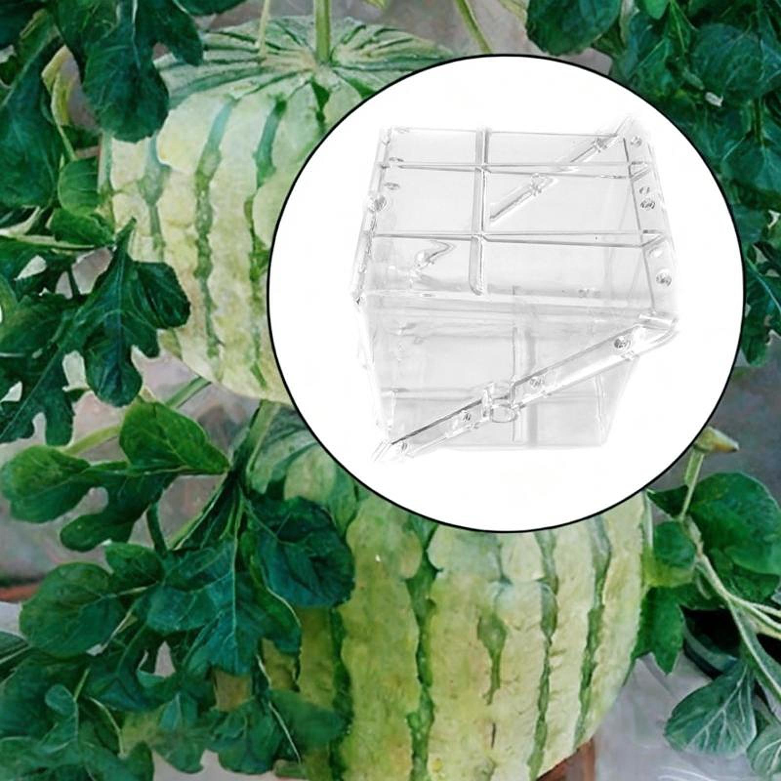 Equipamento de molde de cresci - Gardening Tools Unique avaliação e preço