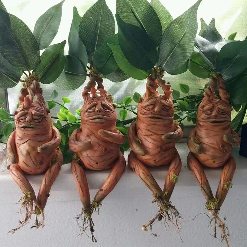 Ornamento de Resina Mandrake p - Gardening Tools Amazon avaliação e preço
