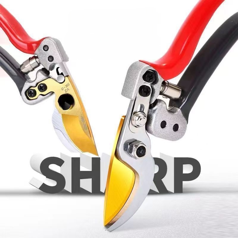 Tesouras horticultura aparecem - Gardening Tools On Sale avaliação e preço